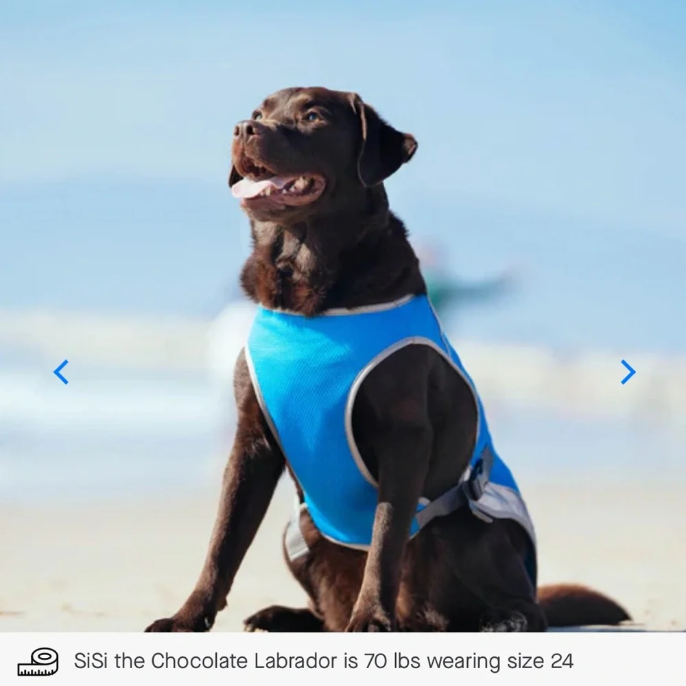Canada Pooch Chill Seeker Cooling Vest - Blue - Size 12